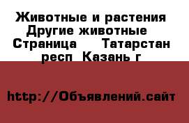 Животные и растения Другие животные - Страница 2 . Татарстан респ.,Казань г.